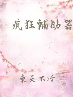 疯狂辅助器