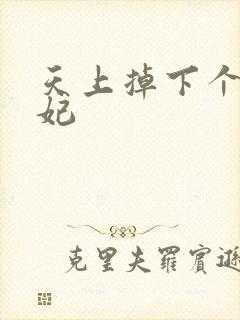 天上掉下个奇王妃