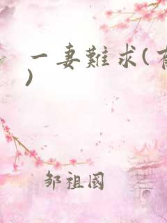 一妻难求(有肉)