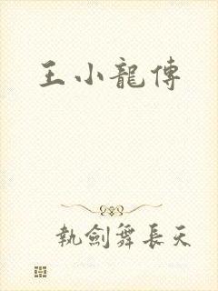 王小龙传