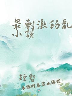 最刺激的乱子伦小说