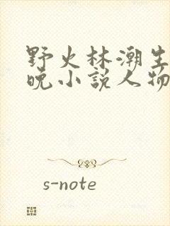 野火林潮生林晚晚小说人物野火