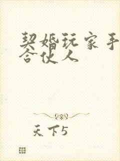 契婚玩家手册之合伙人