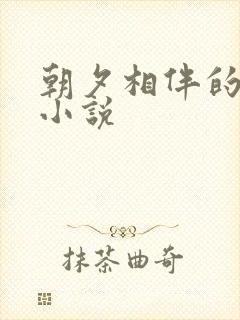 朝夕相伴的哥哥小说