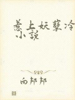 惹上妖孽冷殿下 小说