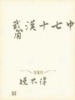 武汉十七中女主角