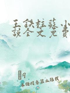 王铁柱苏小汐小说全文免费阅读最新章节