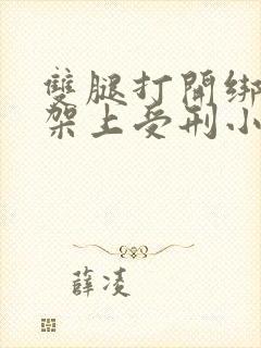 双腿打开绑在刑架上受刑小说