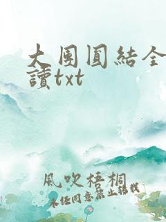 大团圆结全文阅读txt