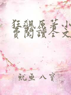 狂飙原著小说免费阅读全文