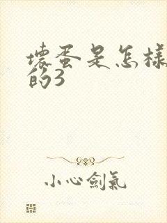 坏蛋是怎样练成的3