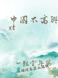中国不高兴 txt