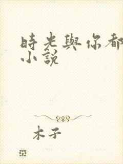 时光与你都很甜小说