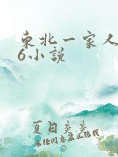东北一家人1一6小说