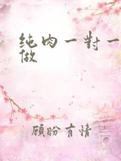 纯肉一对一到处做