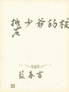 拽少爷的校花女友