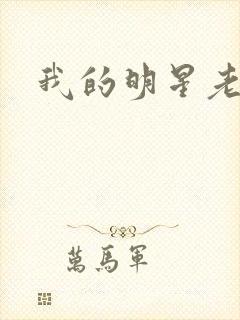 我的明星老豆