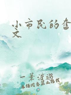 小市民的奋斗燃文