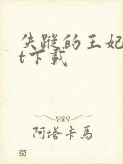 失踪的王妃txt下载