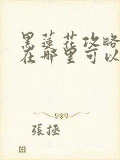 黑莲花攻略手册在哪里可以免费阅读