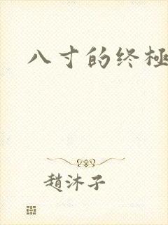 八寸的终极凶器