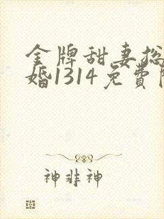 金牌甜妻总裁宠婚1314免费阅读