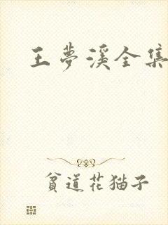 王梦溪全集