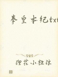 拳皇本纪txt