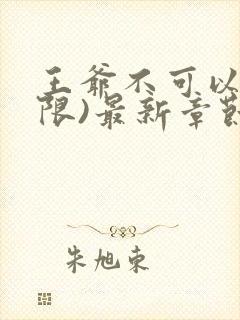 王爷不可以!(限)最新章节