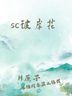 sc彼岸花