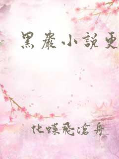 黑岩小说更新吧