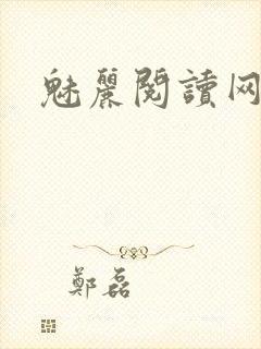 魅丽阅读网