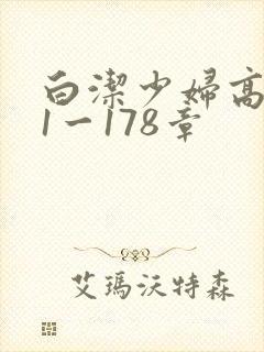 白洁少妇高义第1一178章