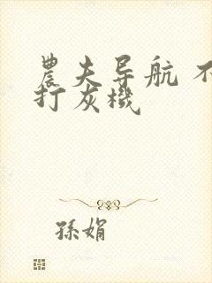 农夫导航 不准打灰机