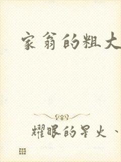 家翁的粗大炮