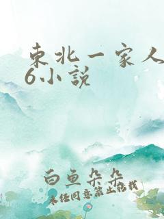 东北一家人1一6小说