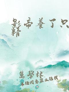 影帝养了只兰花精