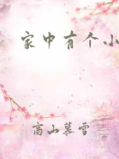 家中有个小姨子
