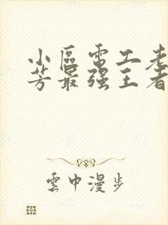 小区电工老周刘芳最强王者