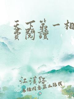 天下第一相书免费阅读