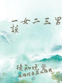 一女二三男事小说
