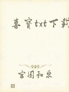 喜宝txt下载