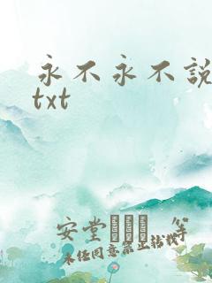 永不永不说再见txt