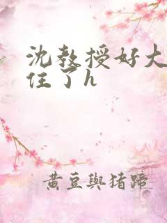 沈教授好大含不住了h