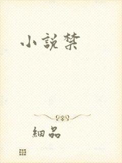 小说禁