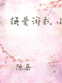 换爱游戏 小说