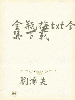 金瓶梅txt全集下载