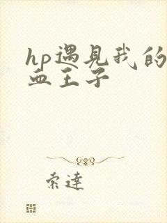 hp遇见我的混血王子