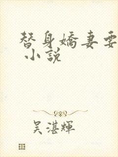 替身娇妻要离婚 小说