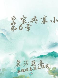 皇家共享小公主第6章